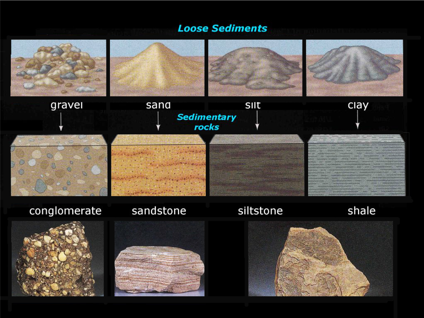 Global Agency of Geosciences Experts