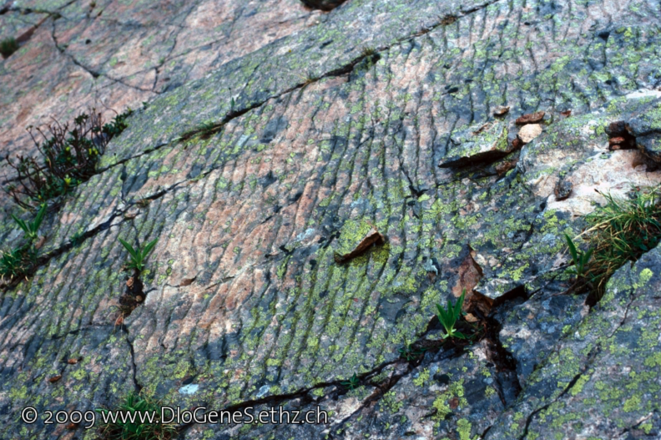 Global Agency of Geosciences Experts