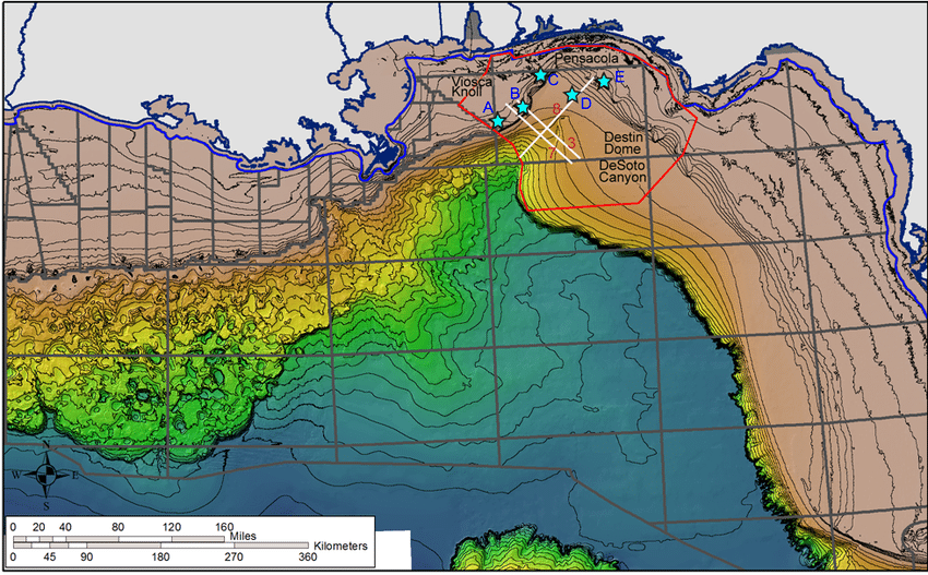 Global Agency of Geosciences Experts