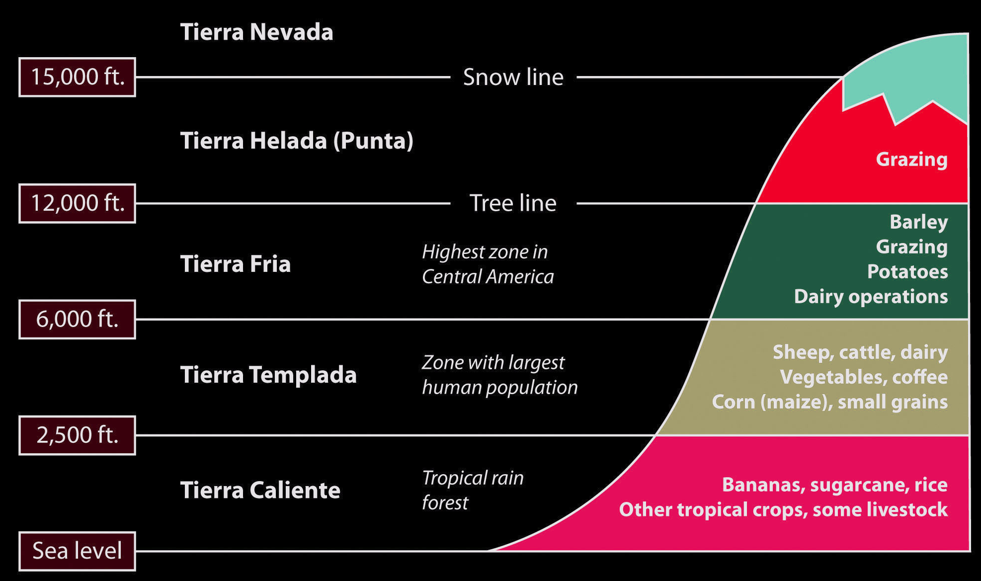 Global Agency of Geosciences Experts