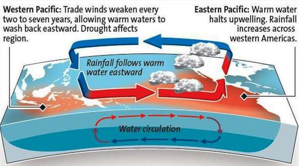 Global Agency of Geosciences Experts