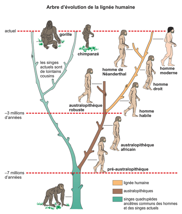 Global Agency of Geosciences Experts