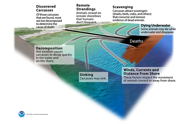 Global Agency of Geosciences Experts