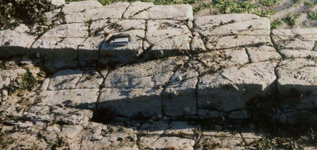 Global Agency of Geosciences Experts