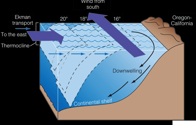 Global Agency of Geosciences Experts
