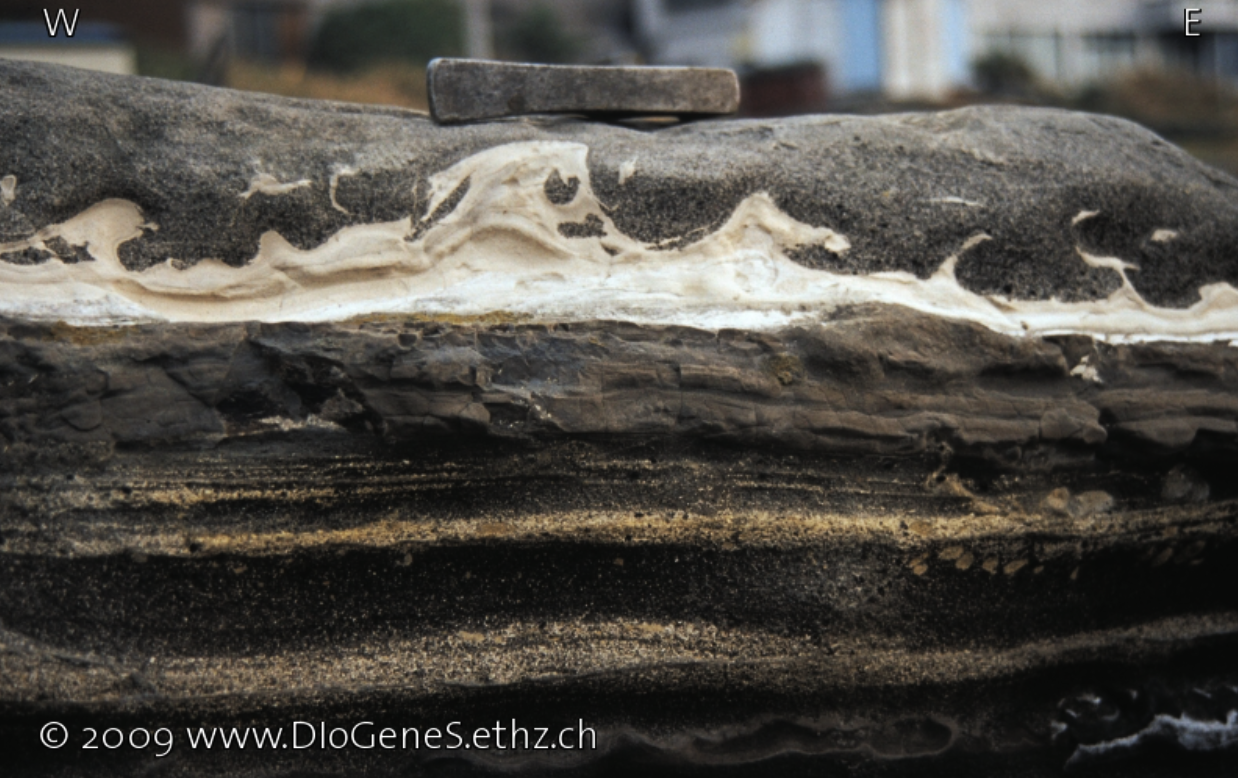 Global Agency of Geosciences Experts