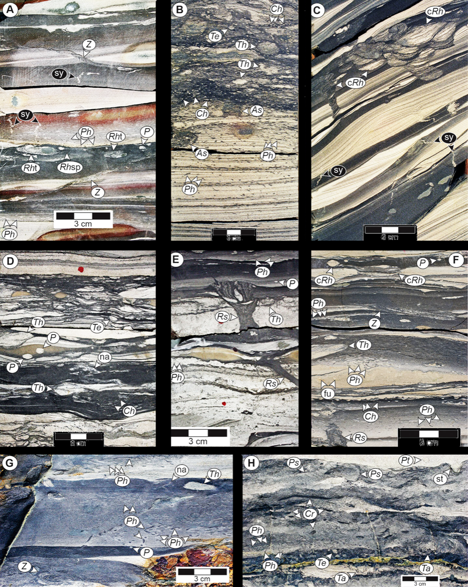 Global Agency of Geosciences Experts