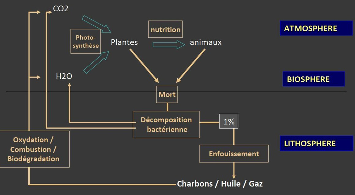 Global Agency of Geosciences Experts