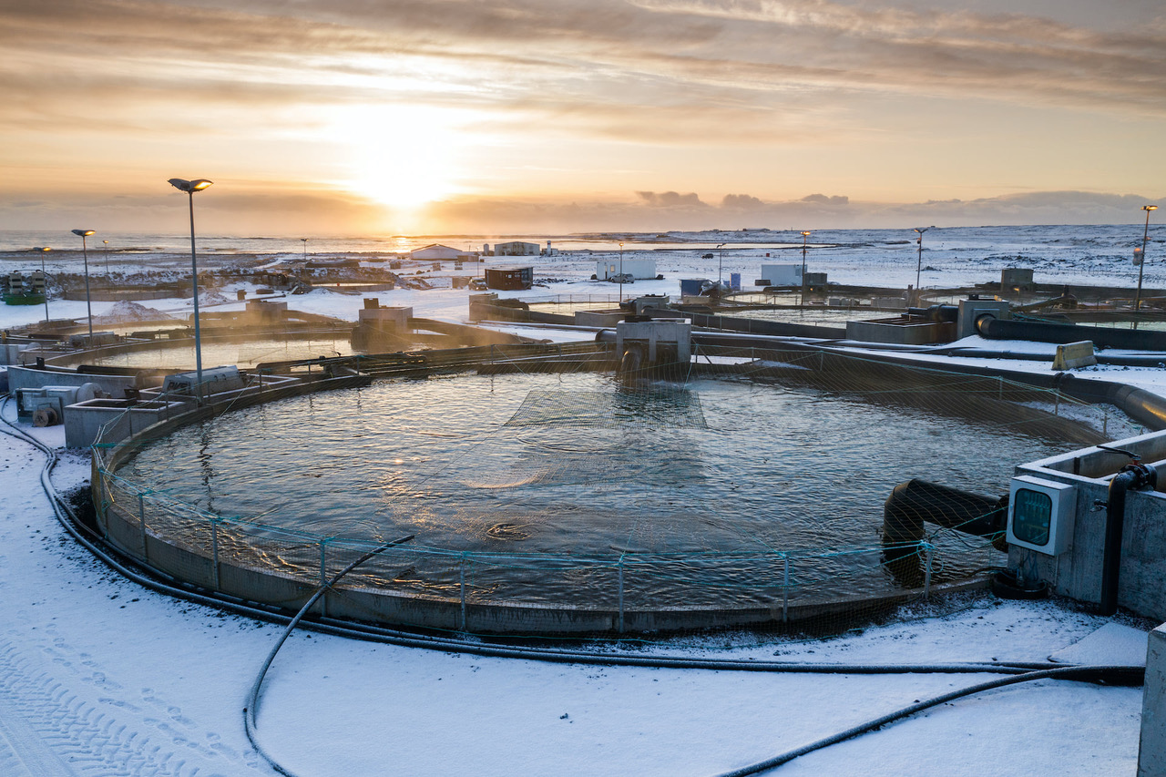 Global Agency of Geosciences Experts